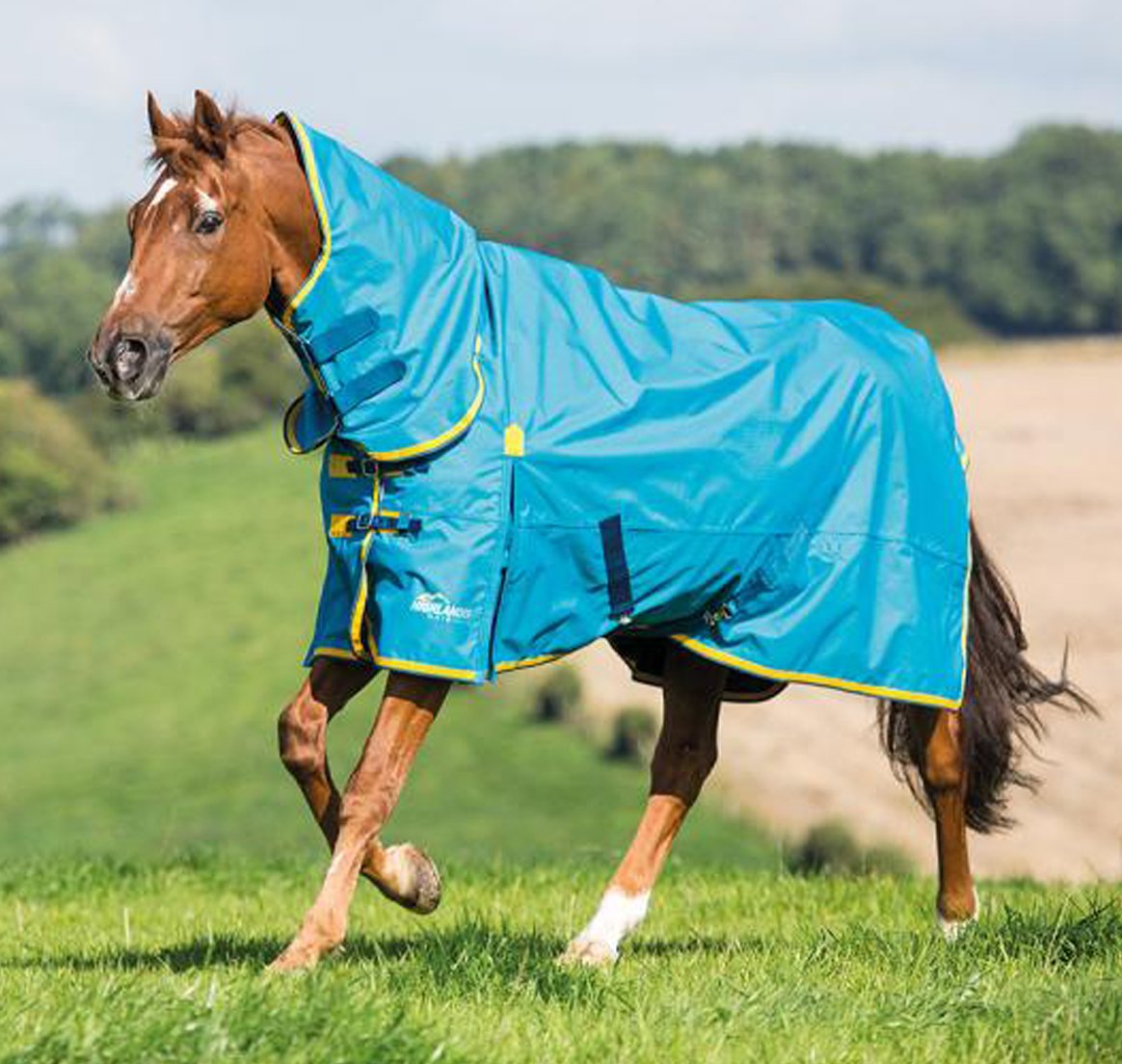 What Are The Benefits Of Fly Rugs For Horses? AZ Web