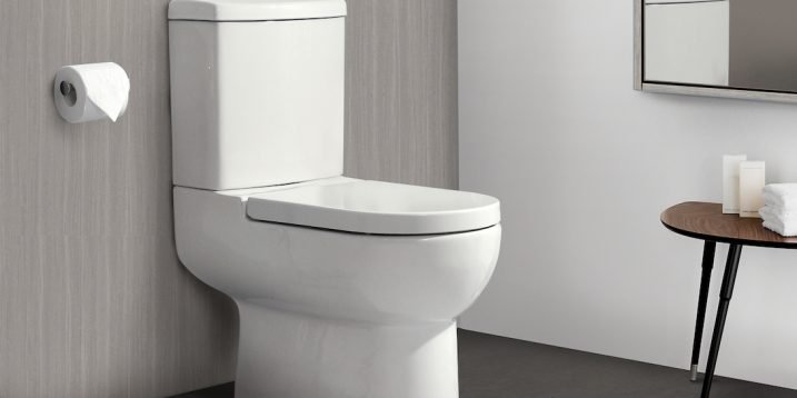 Five Qualities To Look Into Prior To Buy The Best Water Closet